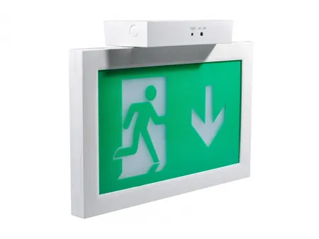 LE2915   لوحة خروج طوارئ LED بخيارات تثبيت متعددة وغلاف بلاستيكي