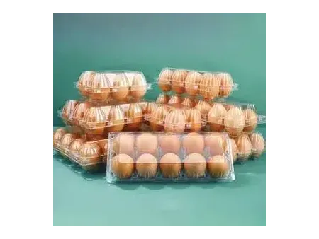 ماكينات تشكيل حراري للبلاستيك متعددة المحطات