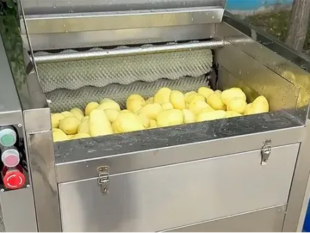 مماكينة تقشير الخضار ذات الفرش Brush Peeling Machine
