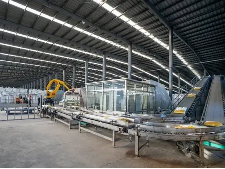 Automatic Bagging Machine