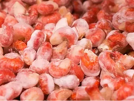 ماكينة تجميد اللحوم (تزجيج بالثلج) Ice Glazing Machine