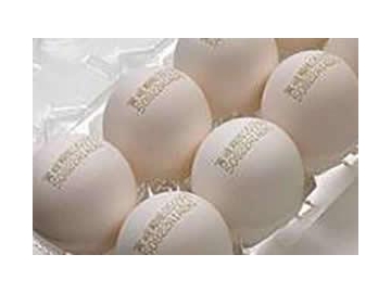 جهاز الوسم بالليزر CO2 من خط التجميع التلقائي 30 واط، MC30-B-A