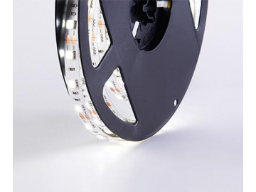 شريط إضاءة LED للديكور 10 ملم 12 فولت D560