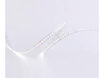 شريط إضاءة LED داخلي مرن 10 ملم 24 فولت D8168