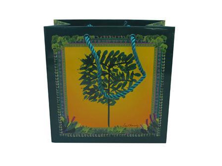 كيس ورقي مطبوع مع يد، أكياس تسوق Printed Paper Shopping Bag