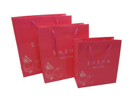 كيس ورقي مطبوع مع يد، أكياس تسوق Printed Paper Shopping Bag
