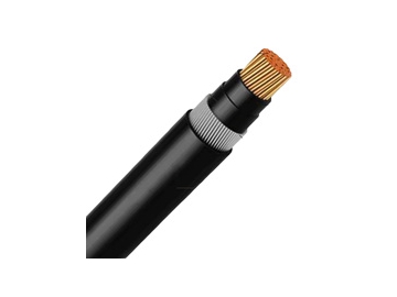 كابلات الجهد المنخفض المعزولة N2XRY من 0.6 إلى 1 ك.ف                     0.6/1 kV N2XRY Cable (CU/XLPE/SWA/PVC)