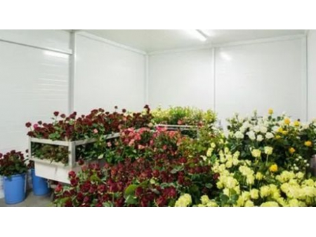 باب منزلق لغرفة التبريد والتجميد (أبواب منزلقة لغرف التبريد) Sliding Cold Storage Door