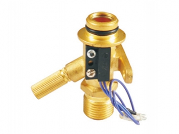 حساس تدفق الماء نوع عوامة    Float Type Water Flow Switch