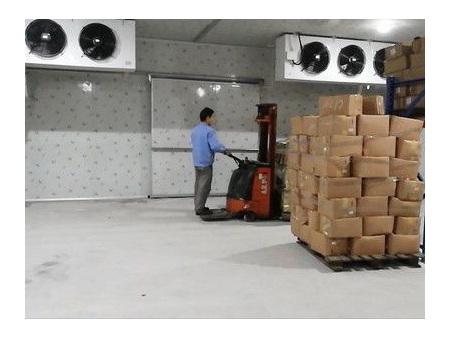 غرفة تبريد الخضروات والفواكه Fruits and Vegetables Cold Room