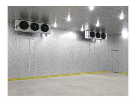 غرفة تبريد الخضروات والفواكه Fruits and Vegetables Cold Room