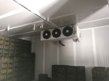 غرفة تبريد في بيئة يتم التحكم بها  Controlled Atmosphere Cold Storage