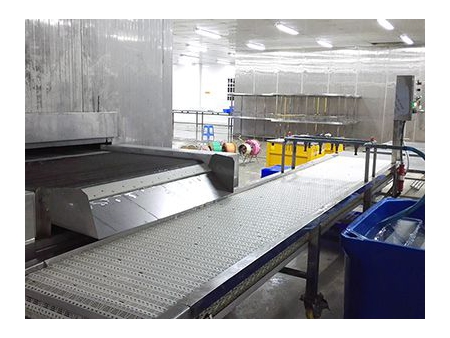 غرفة التبريد والتجميد السريع  Quick Freezing Cold Storage