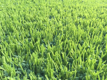 حبيبات ملء العشب الصناعي فئة WFIG/F  Artificial Grass Infill