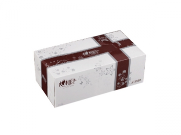 آلة تغليف مناديل الوجه بالعلبة CDH-236